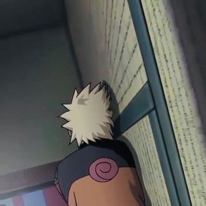 Meet your Posher, Bailey